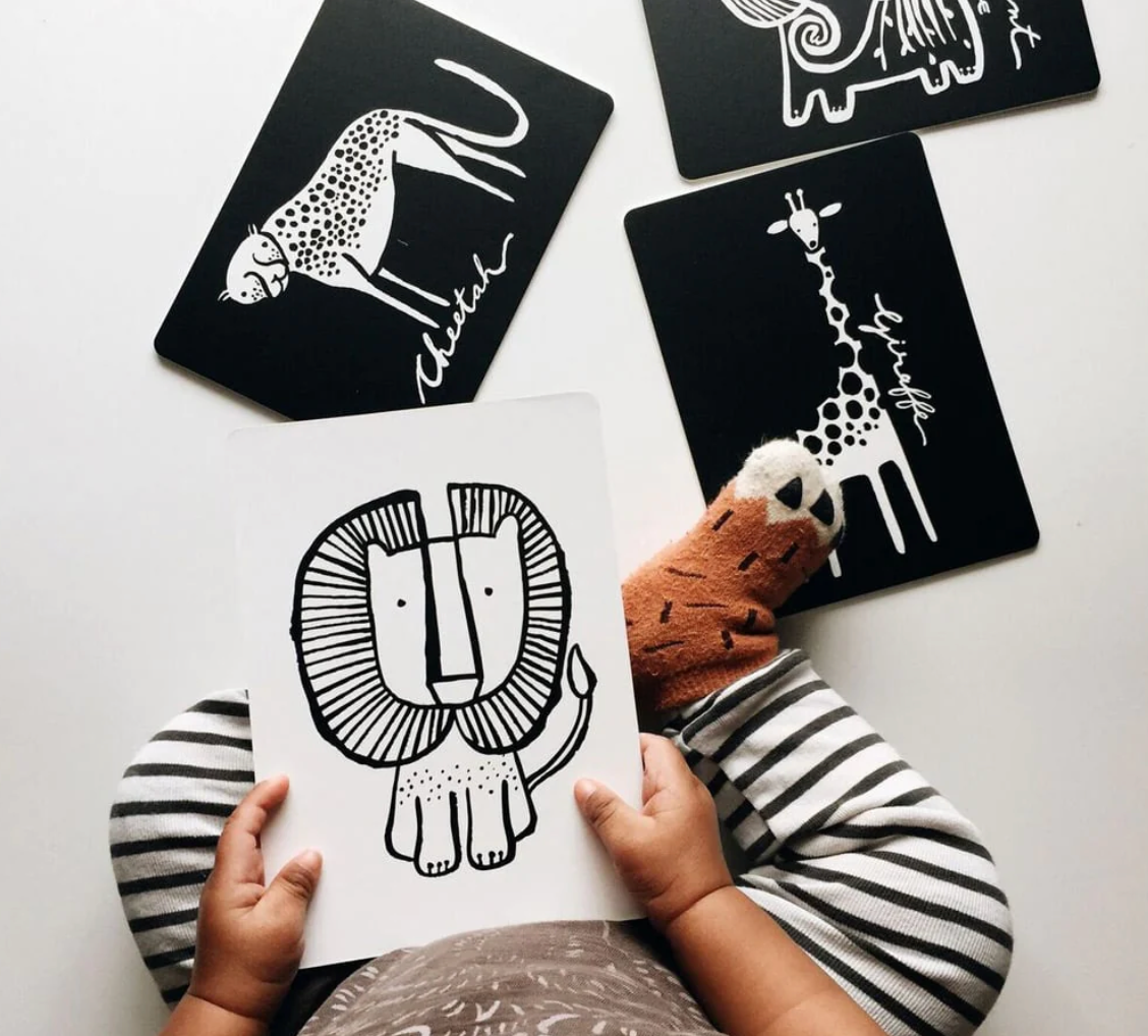 Cartes noir & blanc | Jungle – Image 3