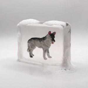 Savon Artisanal – Loup – Ludi Soap