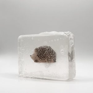 Savon Transparent Artisanal – Herisson – Ludi Soap
