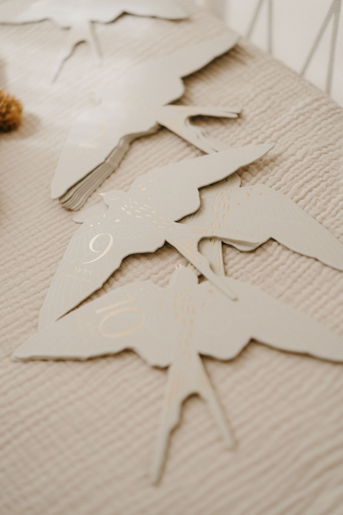 Cartes étapes l Birds – Image 5