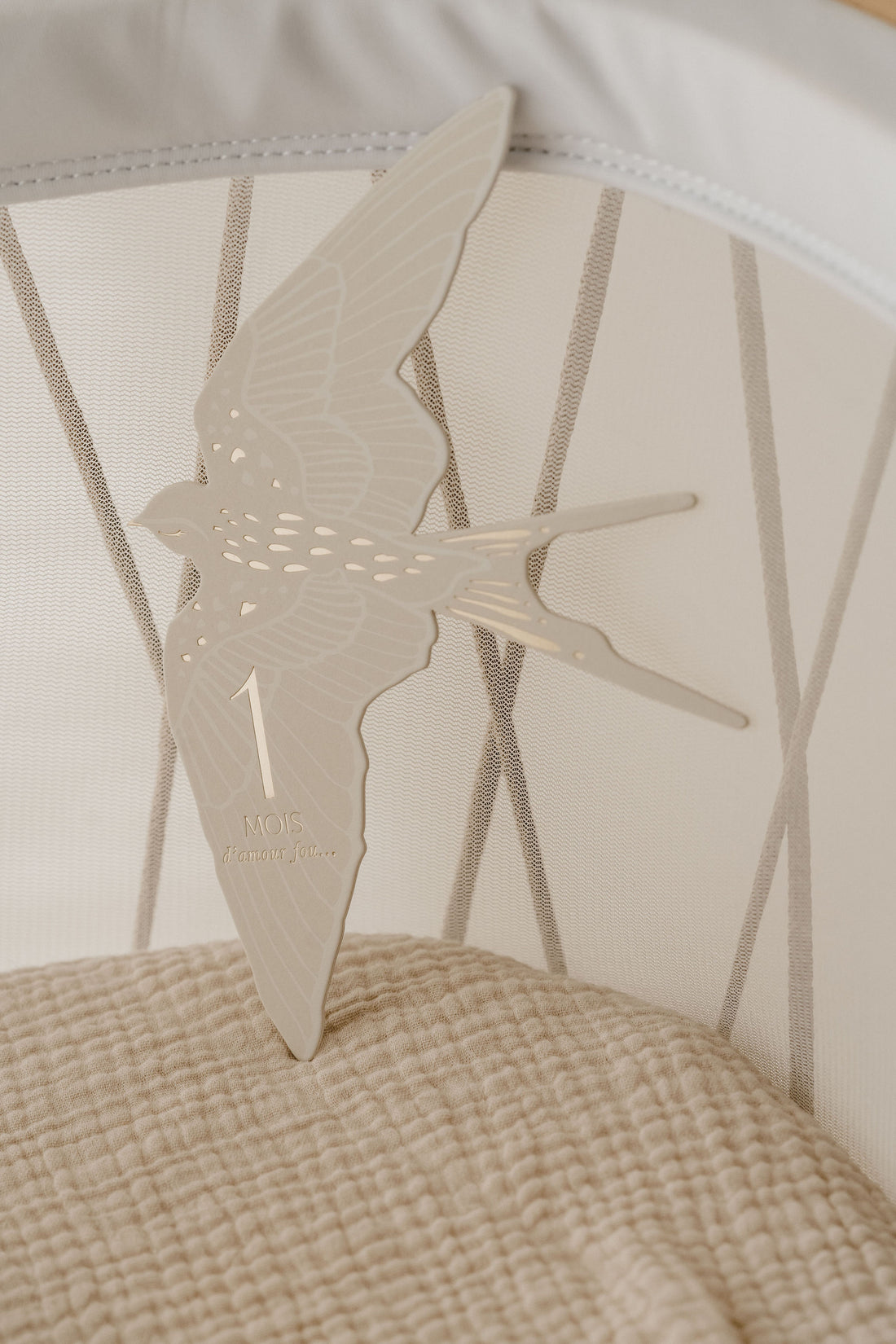 Cartes étapes l Birds – Image 6