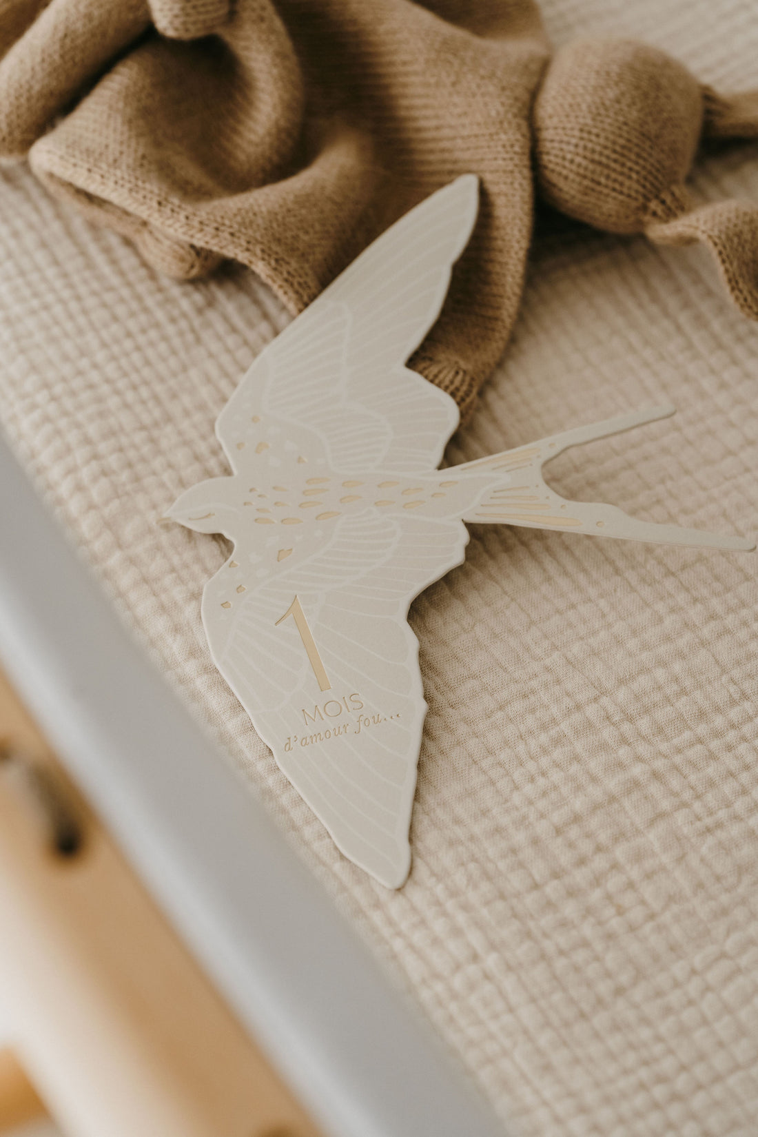 Cartes étapes l Birds – Image 7