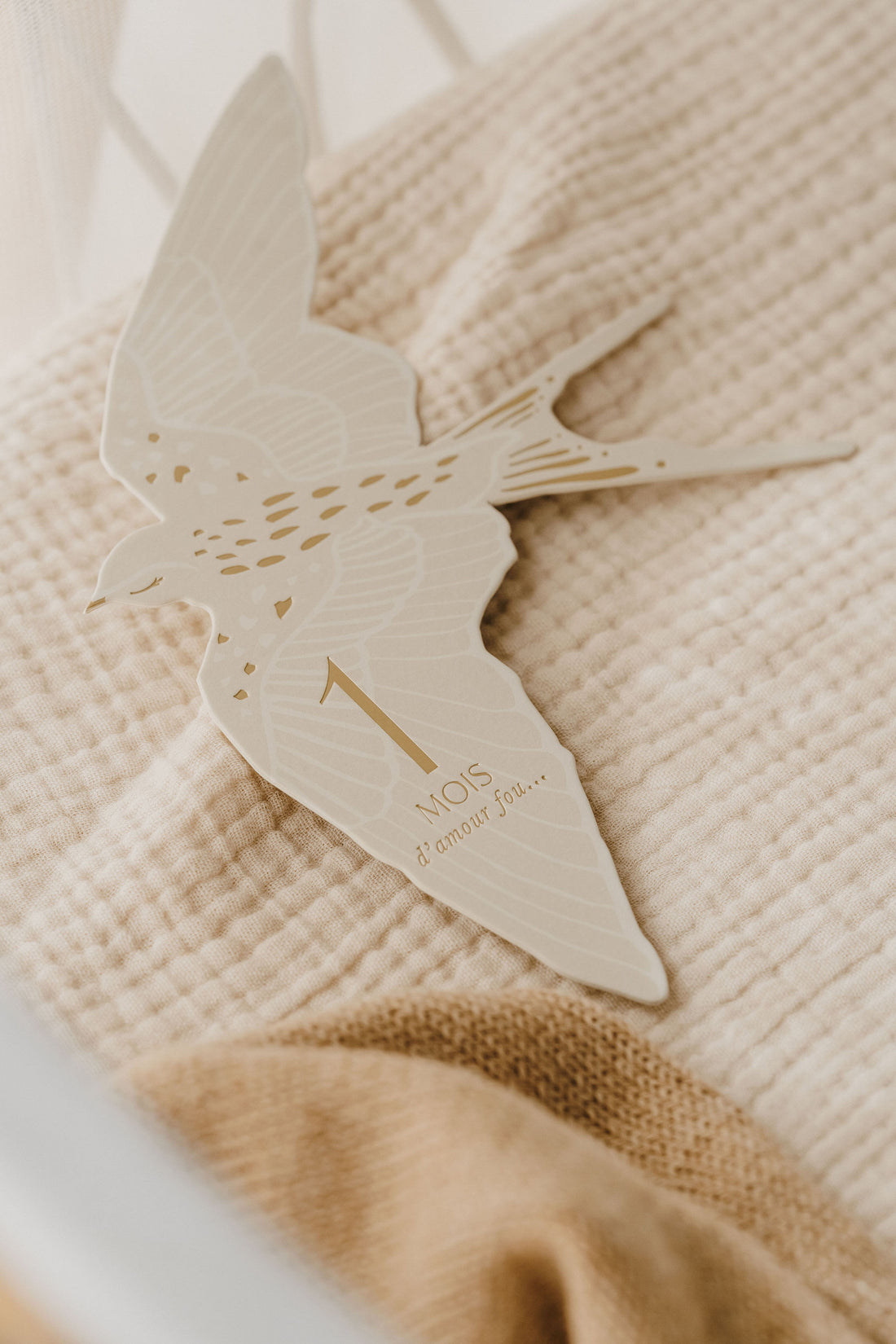 Cartes étapes l Birds – Image 2