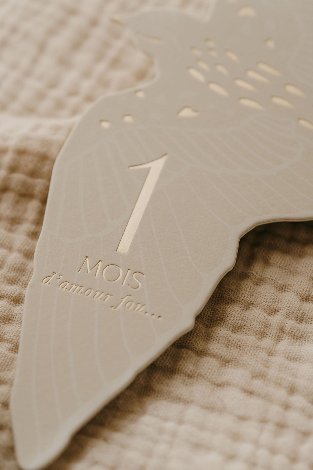 Cartes étapes l Birds – Image 3