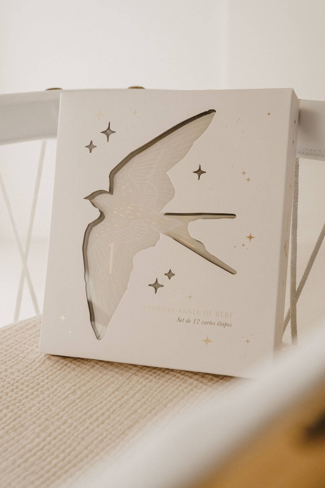 Cartes étapes l Birds – Image 8