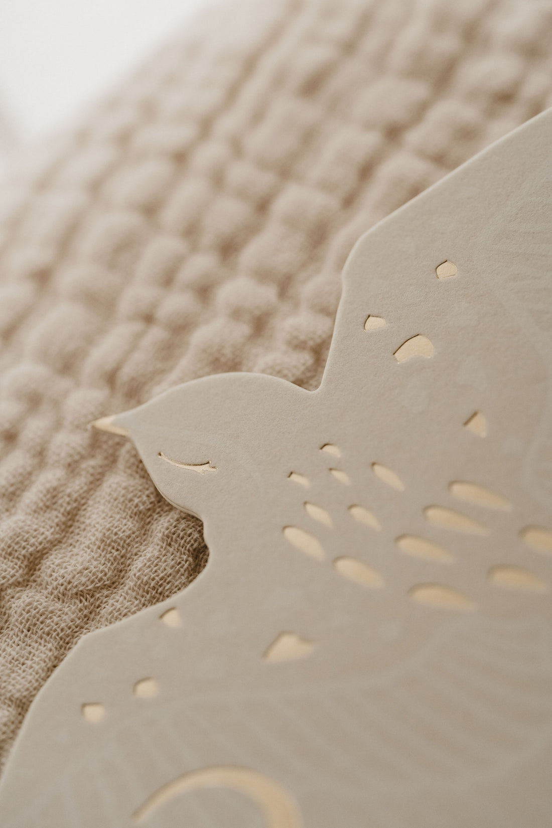 Cartes étapes l Birds – Image 4