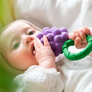 Hochet de dentition OLI&CAROL Grape Rattle Toy